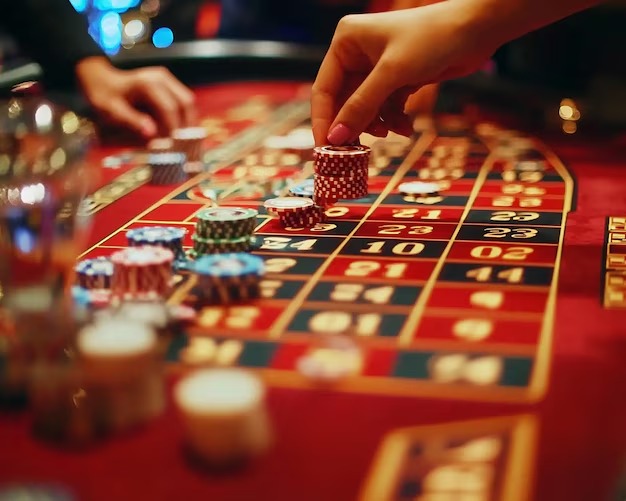 Seamless cashier panel within the monyet togel application